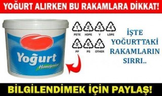 yogurt