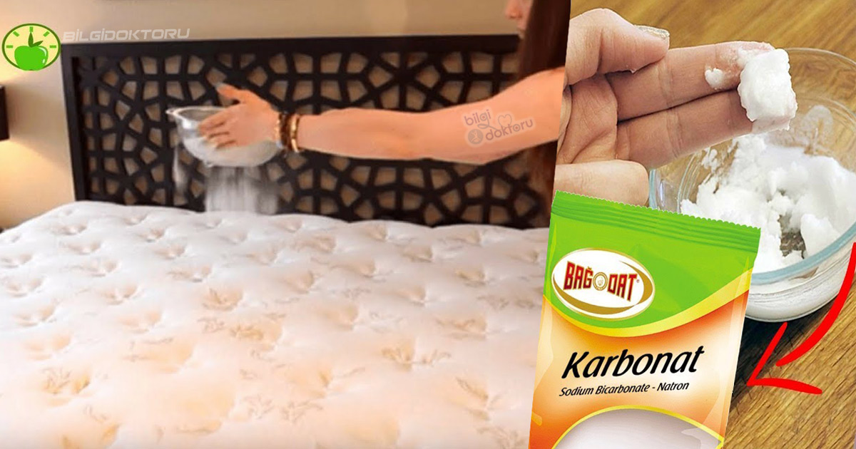Yataga Karbonat Dokunce Bakin Ne Oluyor Bitkilog